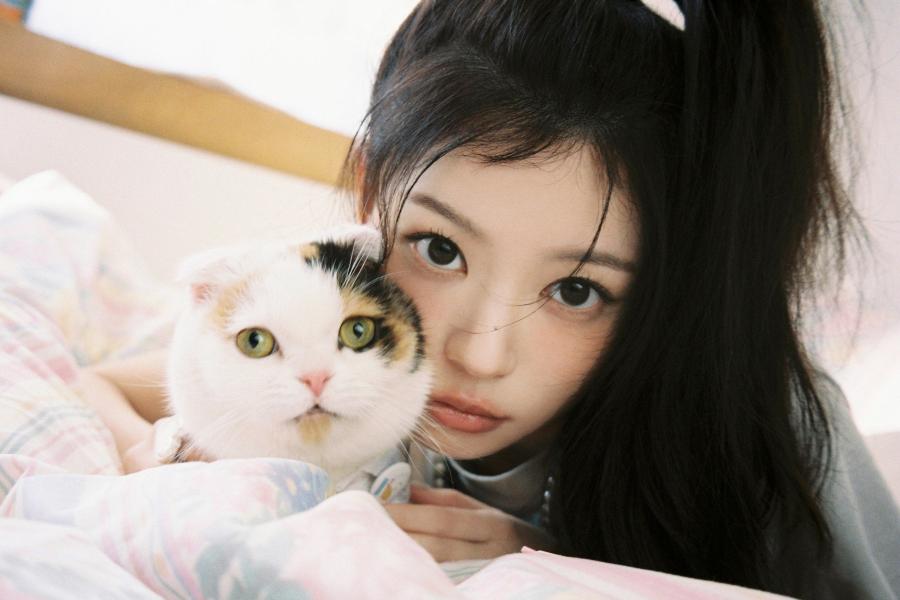 Moka do ILLIT interrompe temporariamente as atividades devido a problemas de&nbsp;saúde